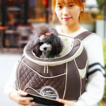 다이스키 강아지 소형견 백팩 이동가방 레드 M 반려견 펫 개 펫백 애견백