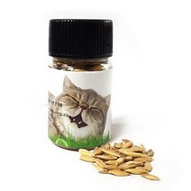 고양이 캣 그라스 헤어볼 배출 보리 씨앗 20g, 보리씨앗20g