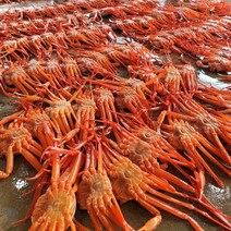 박달급 후포리 홍게 대게 자숙 4kg 홍게찜