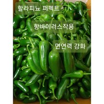 가락시장 직송 퍼펙트 할라피뇨 고추 1kg