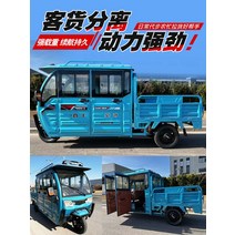전기 바이크 오토바이 세발 삼륜 스쿠터 Boxcar가있는 반 밀폐형 이중 행 자전거 트럭 중장비 성인 석유 용도화물 배터리 카 홈, [01] 2열 벌거벗은 차, [01] 48V