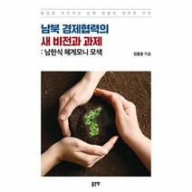 남북 경제협력의 새 비전과 과제 : 남한식 헤게모니