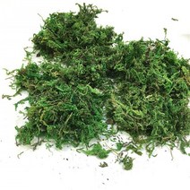 50 그램/가방/가방 녹색 이끼 건조 실크 꽃 결혼식 식물 꽃병 l 잔디 화분 장식, 01 Green 50g