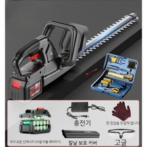 전정기 나뭇가지 목재 가지치기톱 다기능 양날 커팅기, A. 무선전기톱+배터리1개및충전1개+선물가방