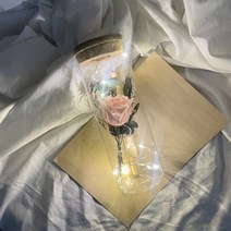 [프렌치로즈]6타입 LED 코르크 유리병 기념일 선물 꽃 편지지 세트, 핑크프리저브드플라워