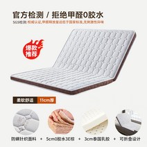 B야자섬유 5cm패드+라텍스 3cm패드 2단 접이식 매트리스 단단한 갈색 하드 매트, H. type 8_단일상품