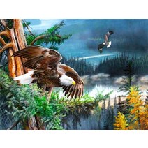 보석십자수 사각 원형 이글 독수리 하늘 인테리어 수능 선물 자가격리 보석자수, 풀 스퀘어 50X70cm, 6351