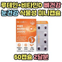 모니터 많이 보는 루테인 비타민 금잔화 영양제캡슐 초소형 먹기쉬운 먹기편한 건강기능식품 식약처인증 30대 40대 50대 60대 70대 눈건강 뼈건강 루태인 소형캡슐 온가족 선물