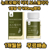 뉴트로웨이 닥터 보스웰리아 1000 식 약 처 인증 인도산 결정 셀룰로오스 우슬추출 분말 초록입홍합분말 히알루론산 혼합분말 엽산 산화아연 비타민 푸마르산제일철, 1개