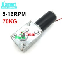 선외기엔진 모터 보트 도매 12 V DC 웜 기어 모터 감속기 24v 강력한 높은 토크 볼트 전기 반전 박스 도어, 20 24v 200rpm_02 Package B