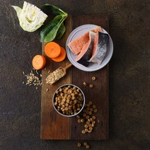 힐링펫 강아지사료 RESET 연어사료 400g, 2개 (5%할인)