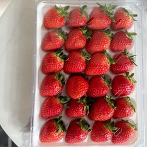 [특] 선물하기 좋은 연예인딸기 800g 당일새벽경매 왕딸기 딸기특대 딸기 특 (대)사이즈 생딸기, 딸기 [특] 난좌 800g내외