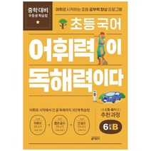 [키출판사] 초등 국어 어휘력이 독해력이다 6단계 B 어휘로 시작하는 초등 공부력 향상 프로그램초등 5~6학년 추천 과정, 없음