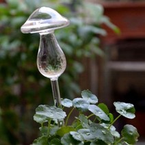 6 가지 유형 유리 식물 꽃 급수기 자동 자체 급수 장치 버드 스타 하트 디자인 플랜트 Waterer, Mushroom