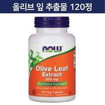 나우푸드 올리브 잎 추출물 500 mg 베지 캡슐 120 정 Olive Leaf Extract