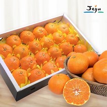 인정에프앤비 올찬 레드향왕특대/특대 3kg8-13과/제주직송 165464