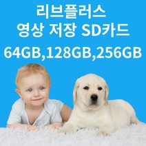 왕눈이캠 눈사람캠 CCTV SD카드, 128GB