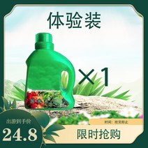대나무 비료 부활 x 화분 영양액 응급잎 발황, T05-1 병 시험 사용
