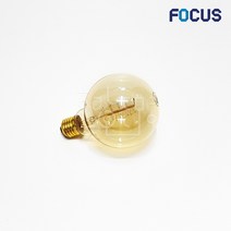 포커스 백열 에디슨 G80 60W E26, 전구색
