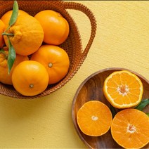 프리미엄 제주 한라봉 천혜향 레드향 만감류 선물세트, 3kg, 레드향로얄과선물세트