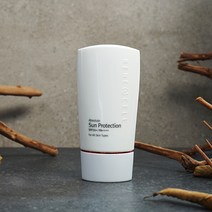 (최신정품)르네셀 앱솔루트 썬 프로텍션 SPF 50+/PA++++ 50g (서비스 증정), 1개