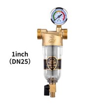 중앙 전체 집 큰 흐름 정화 수돗물 플러시 다시 압력 게이지와 WINSOME 전면 정수기, DN25 Pressure gauge 2