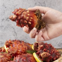 산지직송 통영 생물 멍게 손질 깐멍게 활멍게 500g 1kg 2kg 3kg 횟감 깐횟감 직거래 냉동, 1_1. 활멍게 1kg, 1개