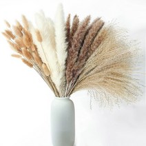 자연 말린 팜파 잔디 꽃다발 Boho 북유럽 가정 장식 꽃 웨딩, 100pcs 꽃병 없음