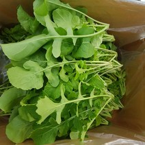 안산팜 로케트루꼴라, 루꼴라 1봉, 2kg
