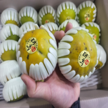 추석 명절선물 고당도 창원 태추단감 배단감 2kg 3kg 5kg, 1개, 태추단감 / 5kg(22과내외)