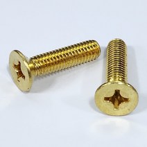 황동볼트 신주볼트 접시머리 전사이즈 1팩 M4x6(100개), 1팩 단위 구매, M6x30(300개)
