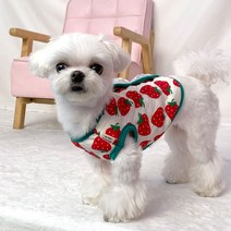 강아지옷 국내산 오가닉 강아지조끼 초소형부터 빅사이즈까지 XS-5XL, 딸기누빔조끼