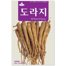 민속씨앗 도라지씨앗 4000립 씨앗, 1개