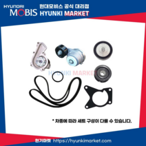 벨로스터 N 순정 겉벨트 세트