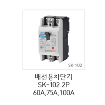 [서울산전주식회사] 산업용 배선용차단기 SK-102 2P 60A 75A 100A 5kA 차단기 MCCB 서울산전배선차단기, SK-102 2P 100A