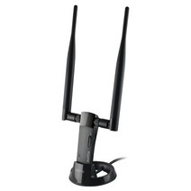 네티스 WF2122 [무선랜카드/USB/300Mbps]