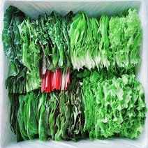 무농약 친환경 수경재배 쌈&샐러드채소(500g), 500g, 1개
