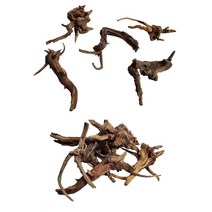 미니 활착용 유목(5cm - 10cm내외) 1개 어항꾸미기 은신처 음성수초 나나 부세활착