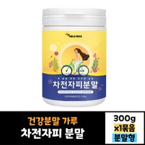 에너데이 차전자피 분말 300g 건강분말 가루