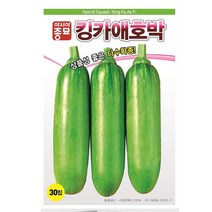 A-킹카애호박 30립 채소 종자