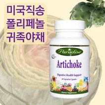 아티초크 폴리페놀 식이섬유 많은 아티쵸크 클로로젠산 아피제닌 Artichoke 60정, 아티초크 250mg 60캡슐