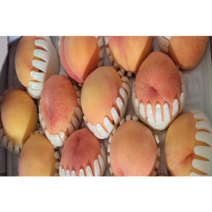 달콤한 과즙가득 말랑이 단호장 물복숭아 말랑한복숭아 4kg 중과 (14~16과 내외), 1개