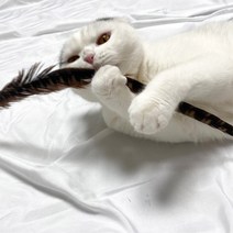 꿩 깃털 55cm 고양이 행동유발 장난감 만들기 사냥 놀이 운동, 2개