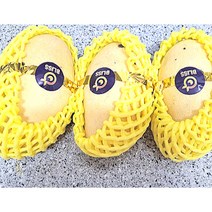 골드망고 1.3kg 애플망고 무지개망고 선물세트 태국산 프리미엄 해외 산지 항공 직송 Mango, 태국 골드망고 1.3kg (4과)