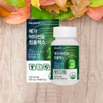 비타민B 콤플렉스 90정 3개월분 셀레늄 아연 함유