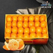 [보섭이네푸드]가락시장 직송 제주효돈감귤 5kg(37∼40입내 2L)