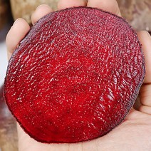 레드비트 제주산비트 우월한밥상레드비트 생비트 무농약 제주비트, 제주비트_3kg, 1개