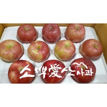 [소백애산사과] 경북영주 부사 소백사과영농 특대과/대중과/중소과/기스용 3kg/5kg/10kg, 특대과[5키로/11~13개]