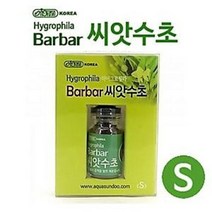 이스타 Barbar 씨앗수초 S (1개입) / 수초 씨앗 / 하이그로필라