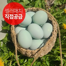 무항생제 청계 청란 유정란 20구 40구, 청계유정란40구